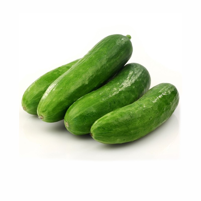 Cucumber