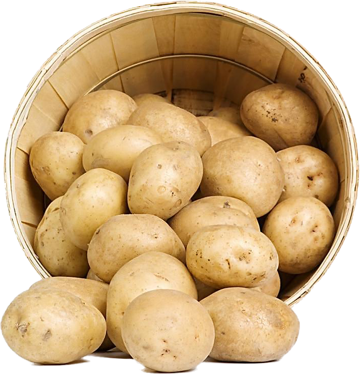 favpng_sweet-potato-potato-starch-vegetable-food-1-1.png